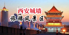 黄片淫荡荡妇高潮勃起中国陕西-西安城墙旅游风景区